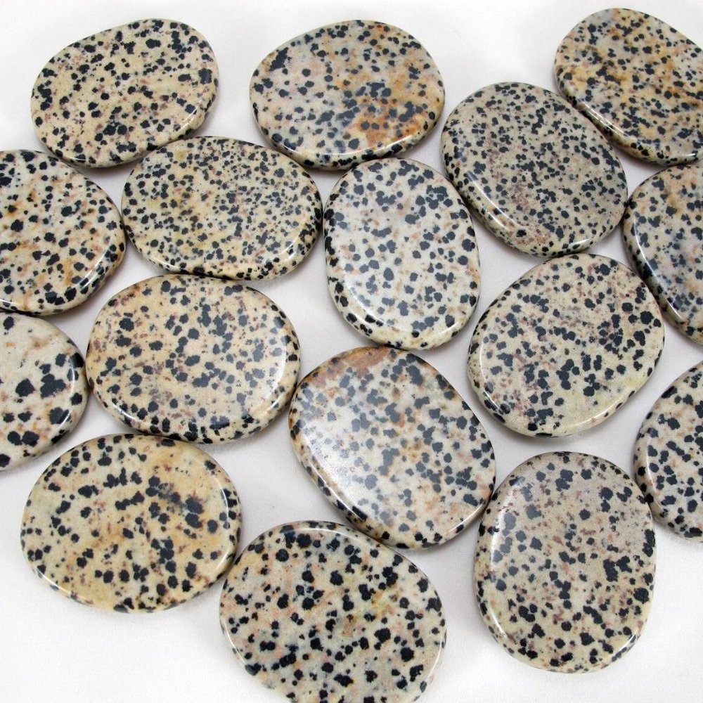 Gorgeous Authentic Dalmatian Jasper Palm Stone, Polished, from Chihuahua, Mexico